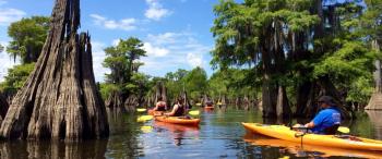 Dead Lakes kayaking