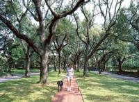 north boulevard