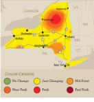 foliagemapnew92513.jpg