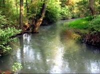 Green Spring Creek