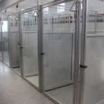 County Line Veterinary Clinic