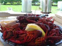 Cajun-Festival-2006-crawfish