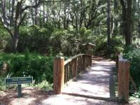 One of the Golden Isles' many nature walk and hiking trail heads in coastal georgia