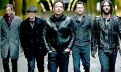 Wallflowers