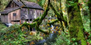 Moulton Falls Scenic Waterfall Near Vancouver Washington