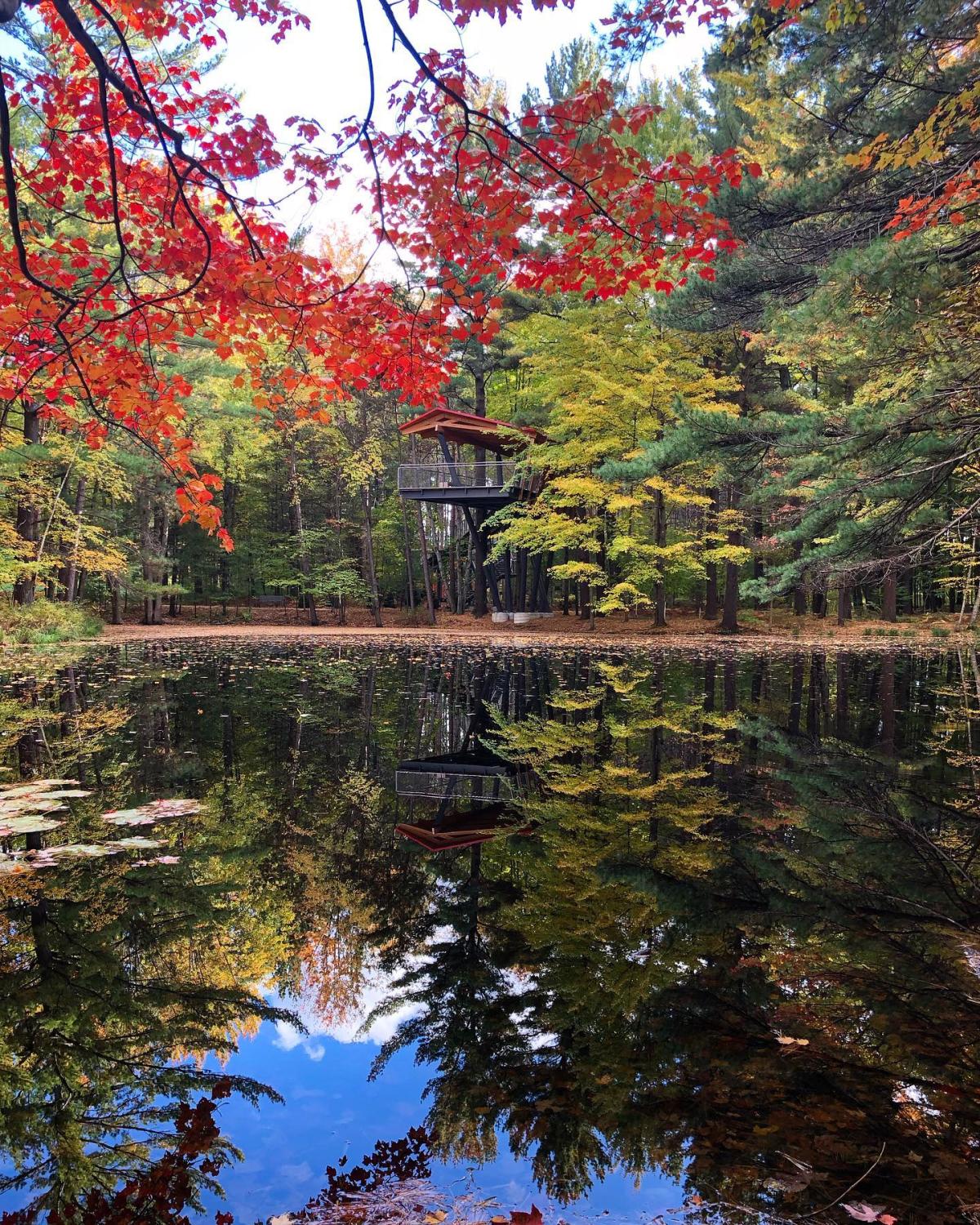 Fall Colors In Michigan S Great Lakes Bay Autumn Foliage