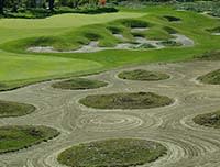 birck boilermaker golf