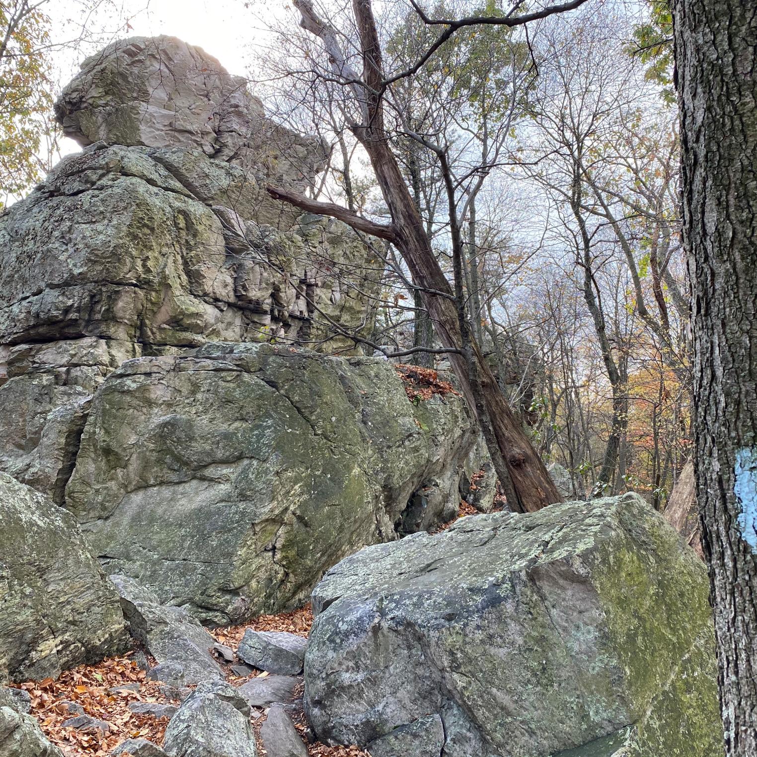 White Rocks Trail