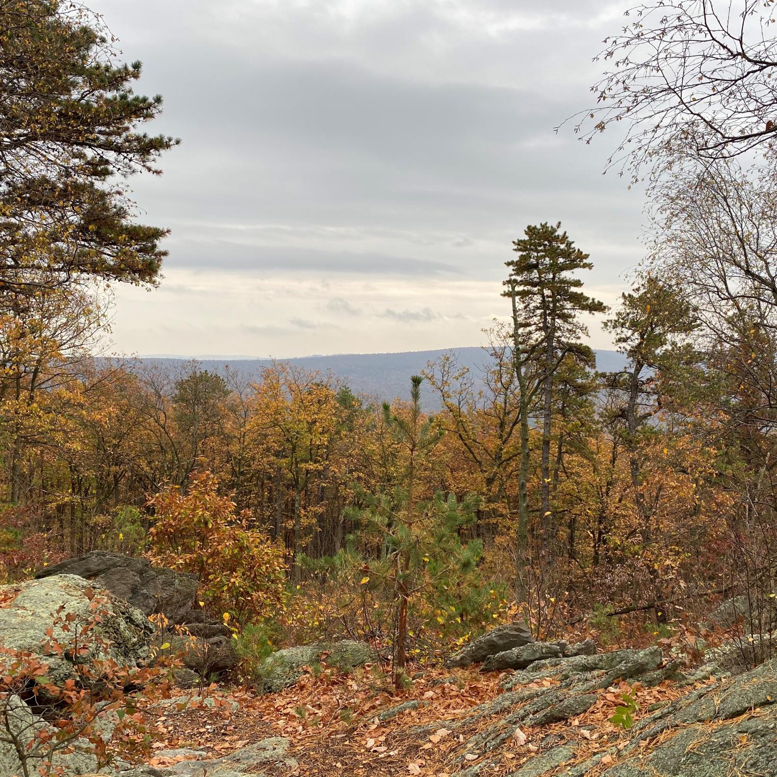 Hamonds Rocks Overview