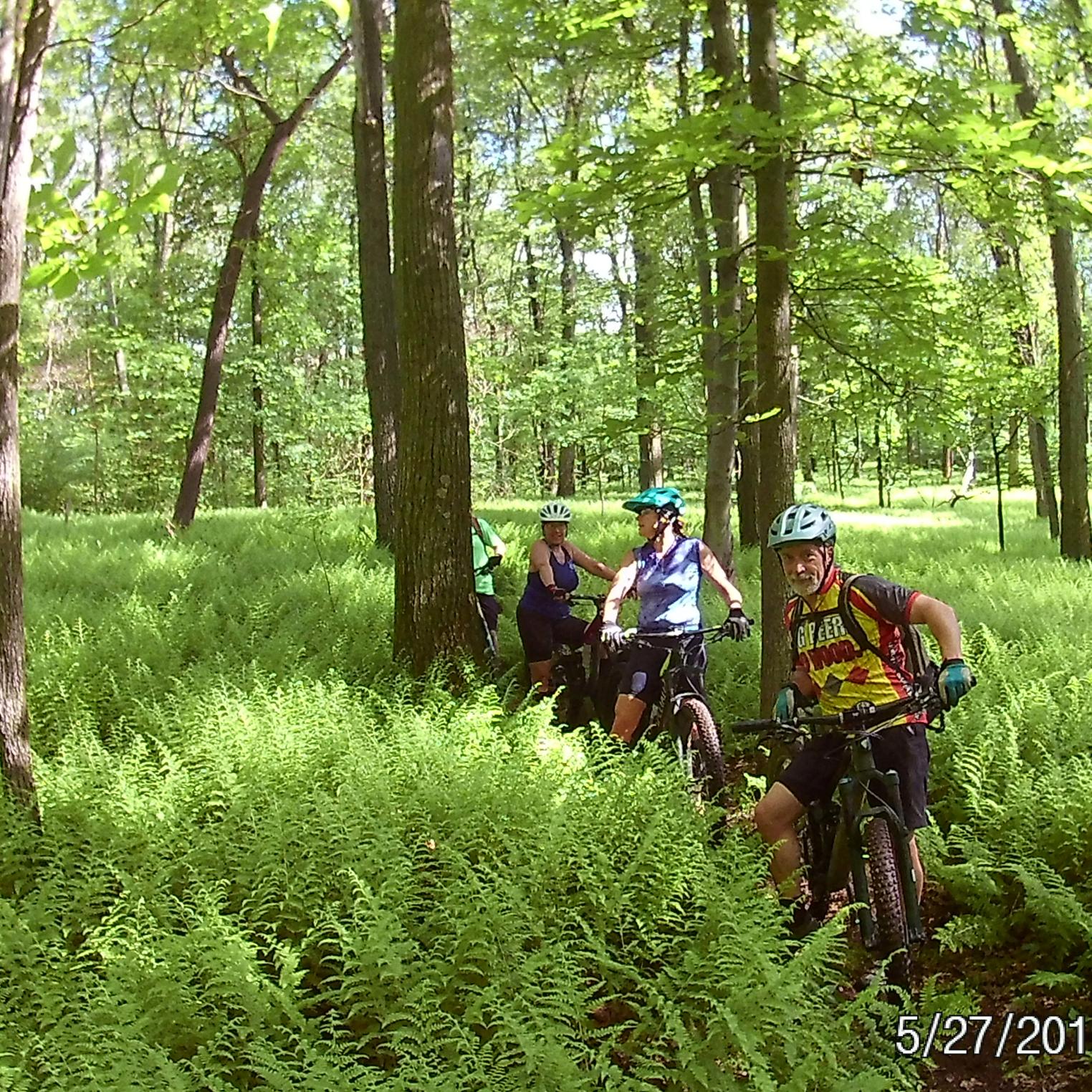 Scared Rides Michaux
