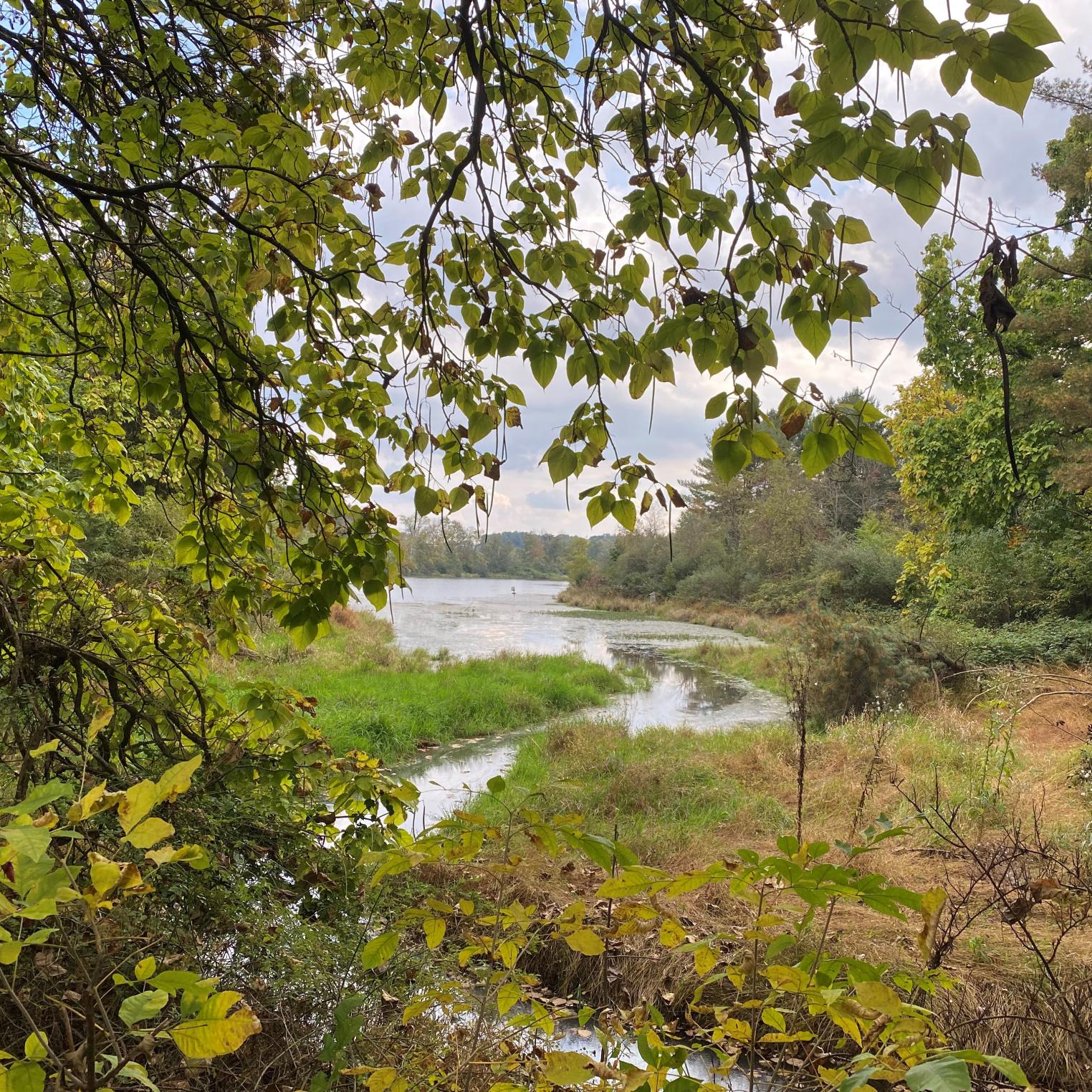 Opossum Lake