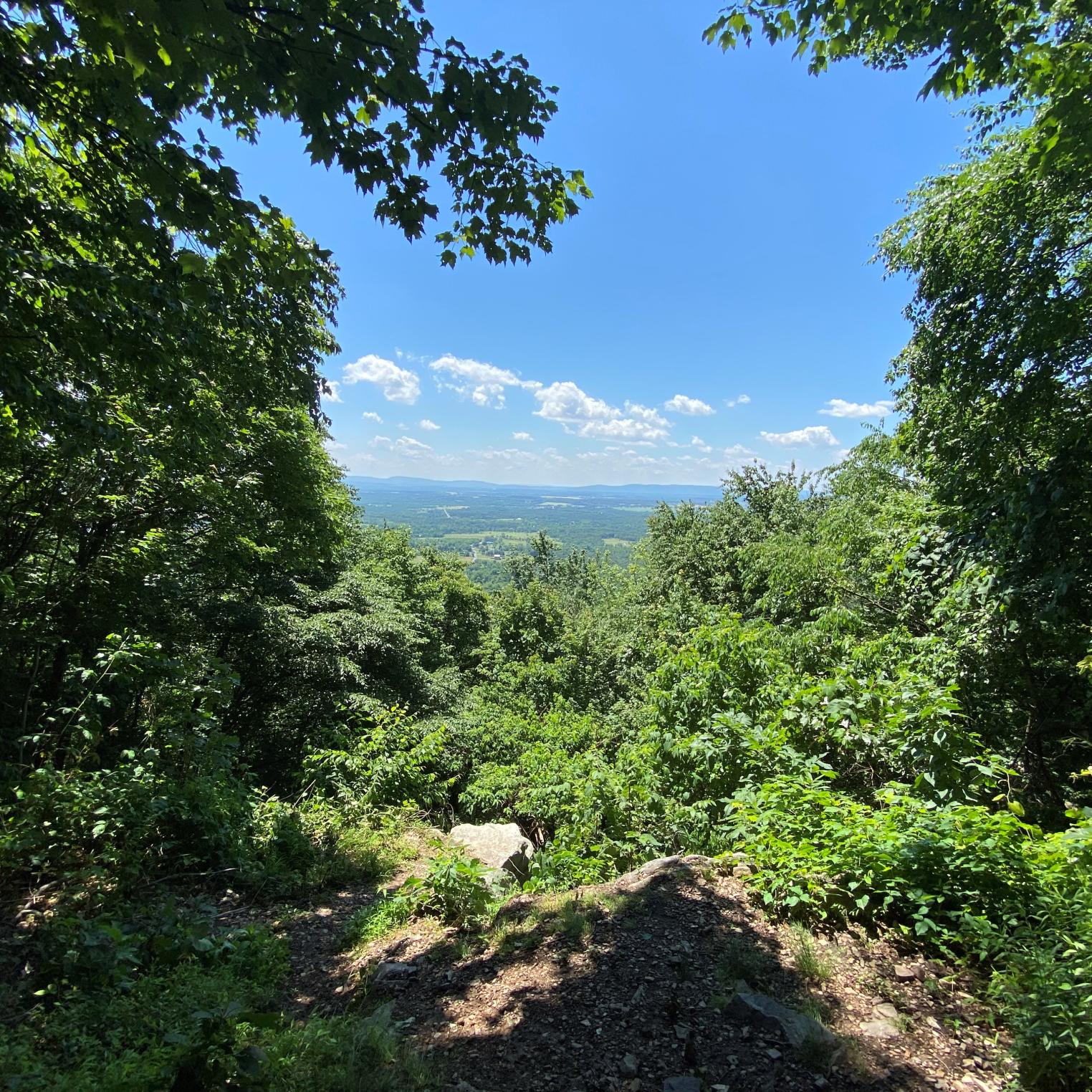 Cumberland Valley Overlook