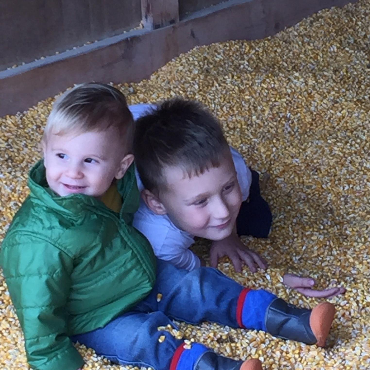 Maple Lane Farm