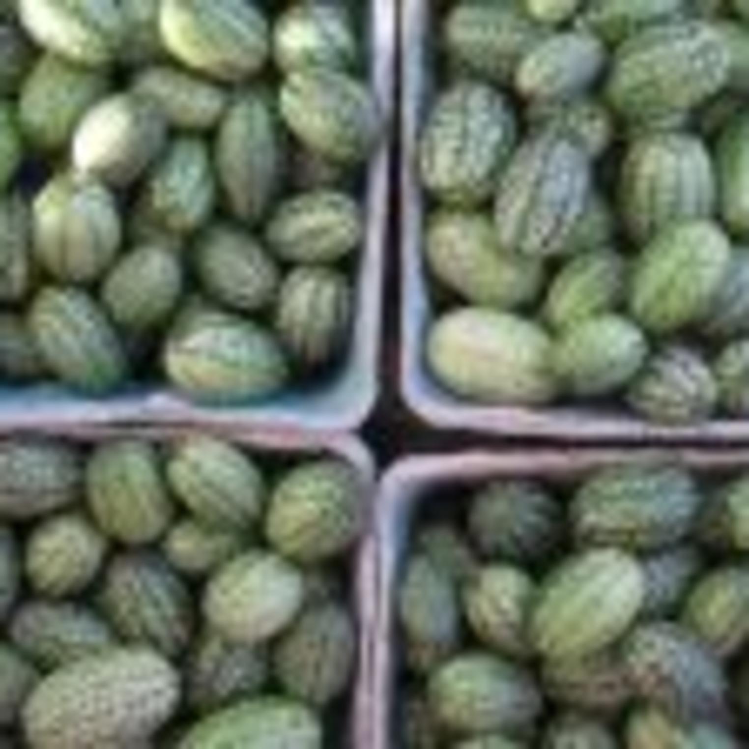 Adams-Ricci Farmers Market