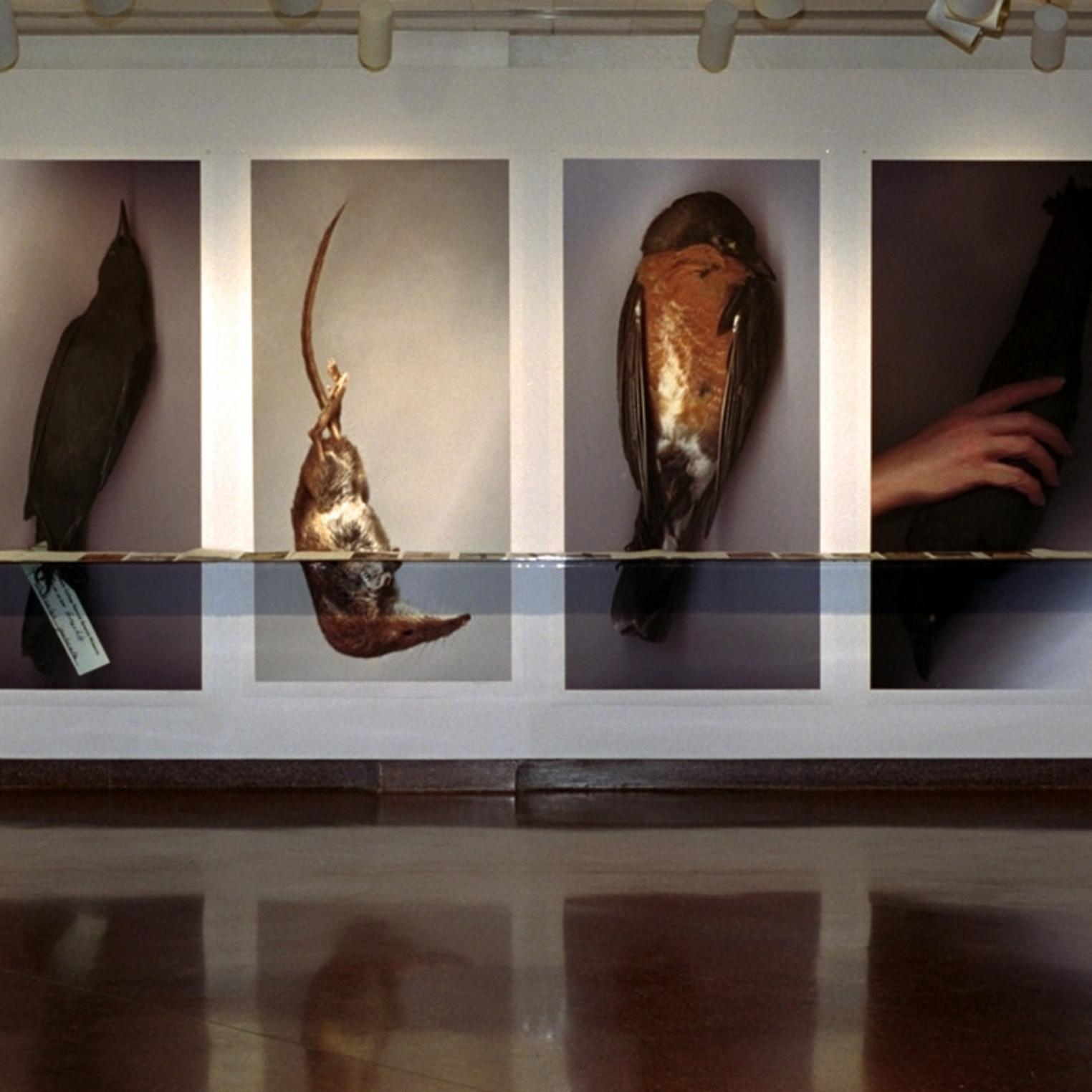 M. Louise Aughinbaugh Gallery