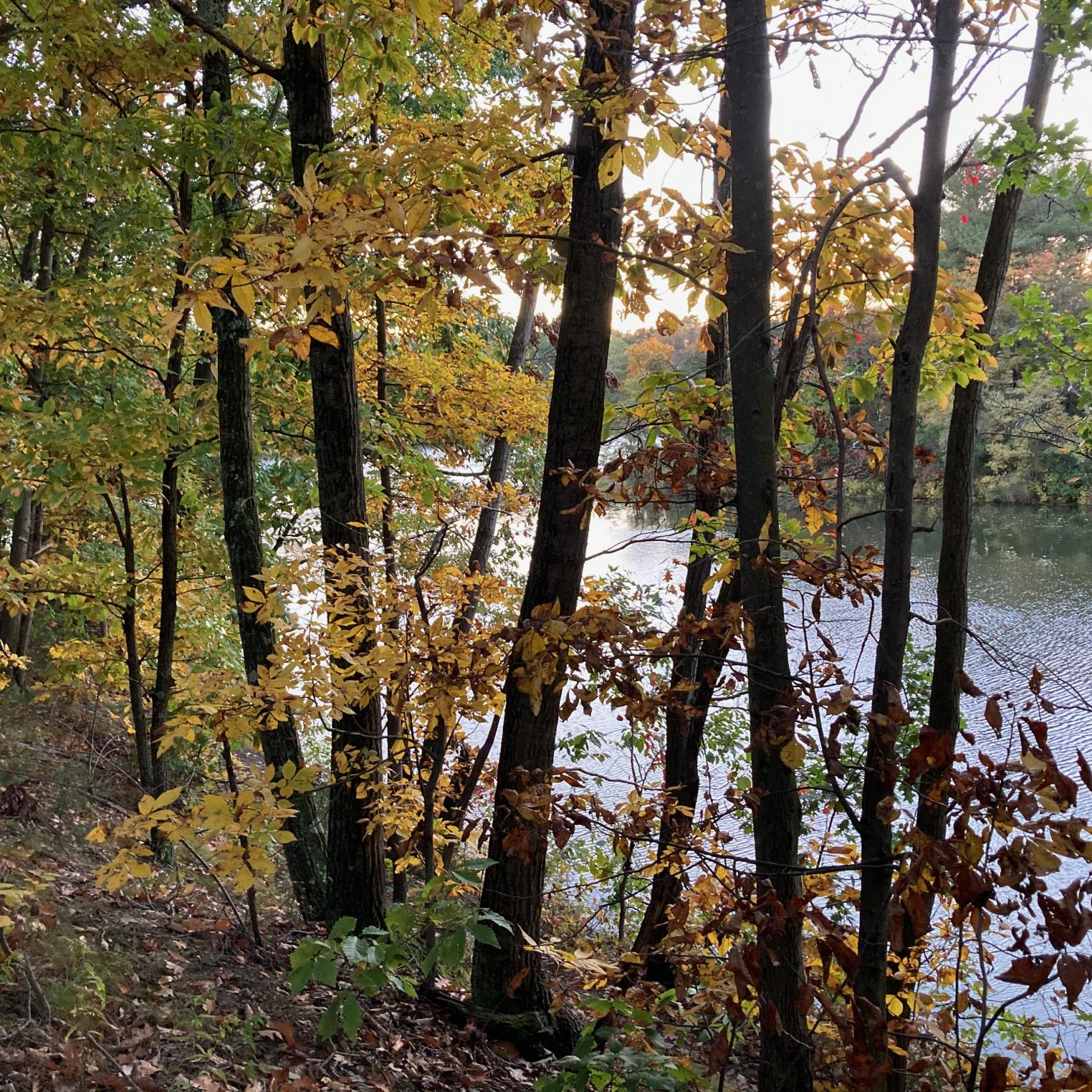 Opossum Lake