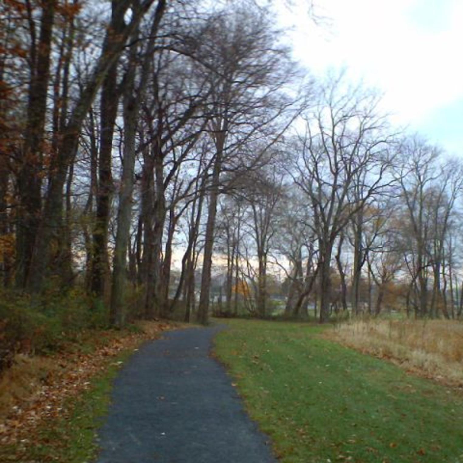 Fielding Belt Trail