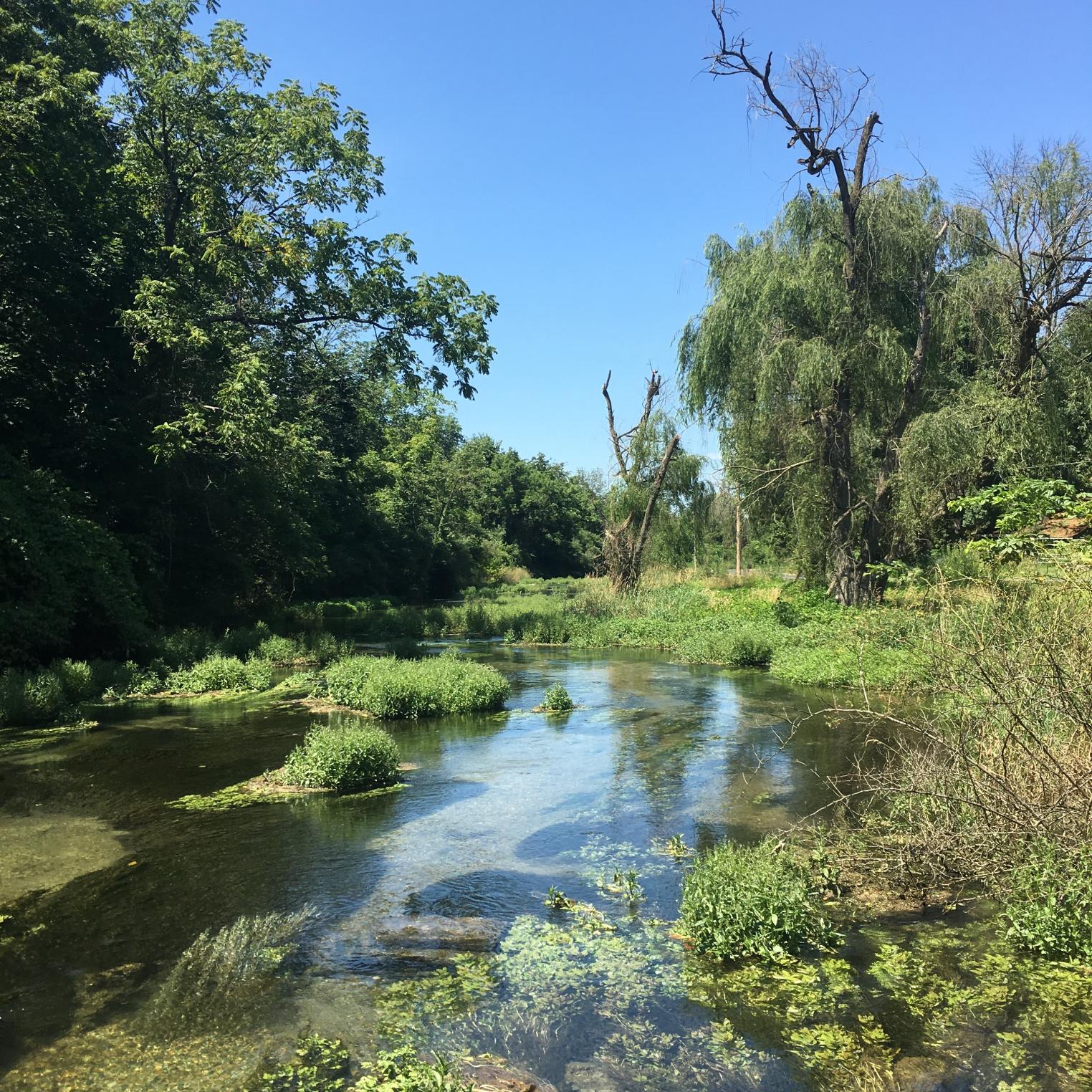 Big Spring Creek