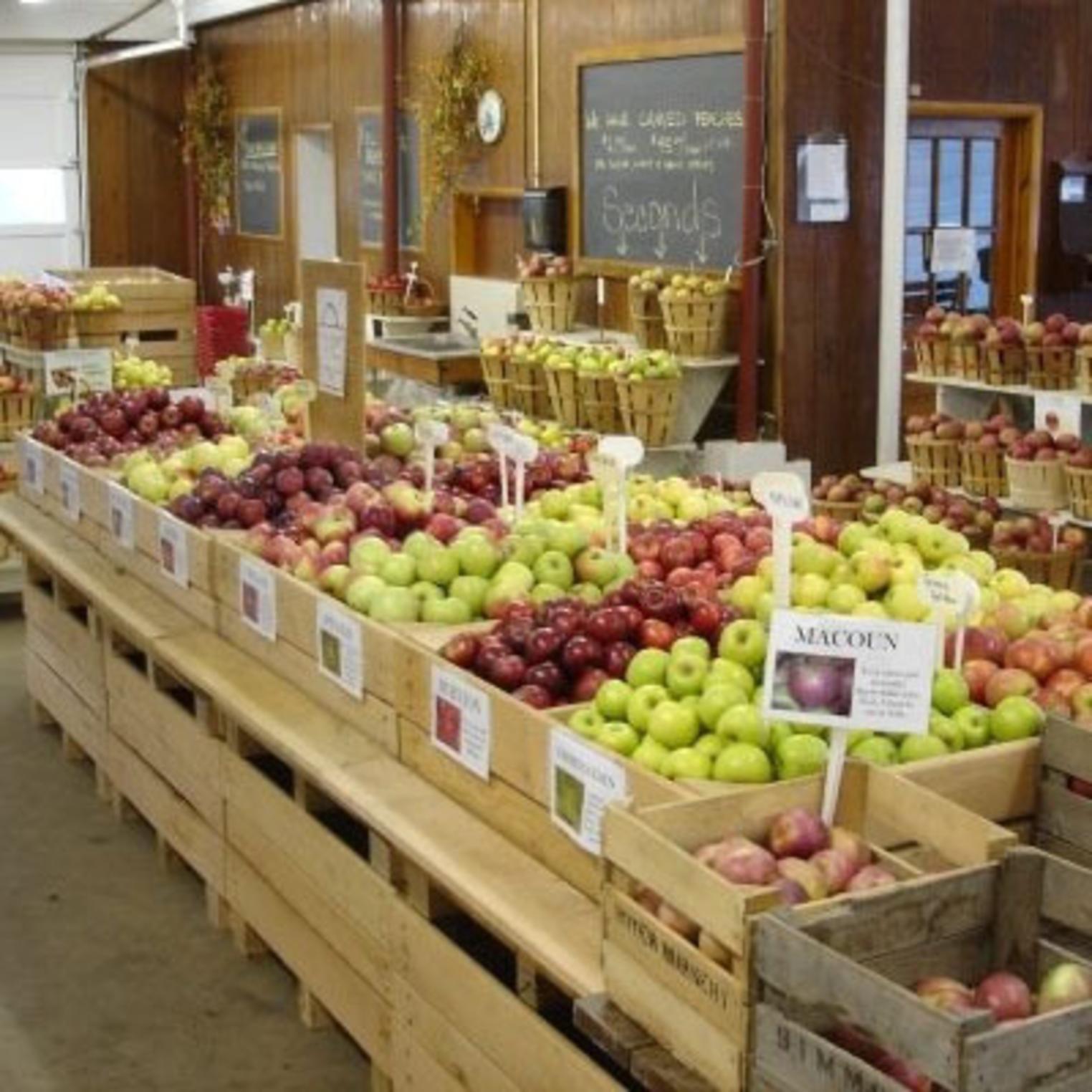 Boyer Fruit Stand