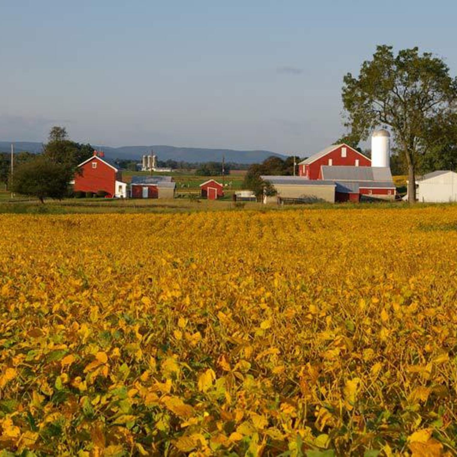 A Local Farm along the Cumberland Valley Rail Trail