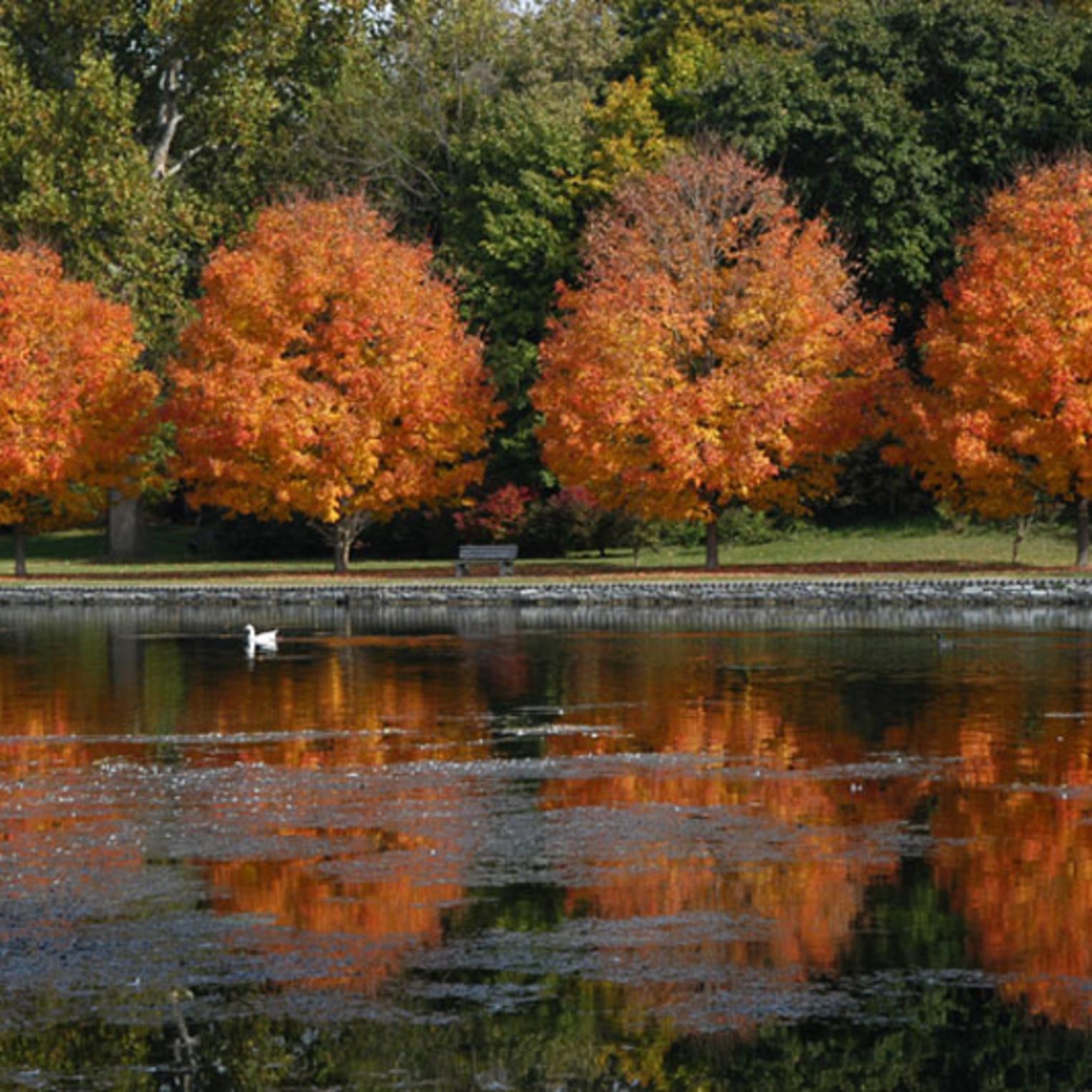 Children's Lake in Fall