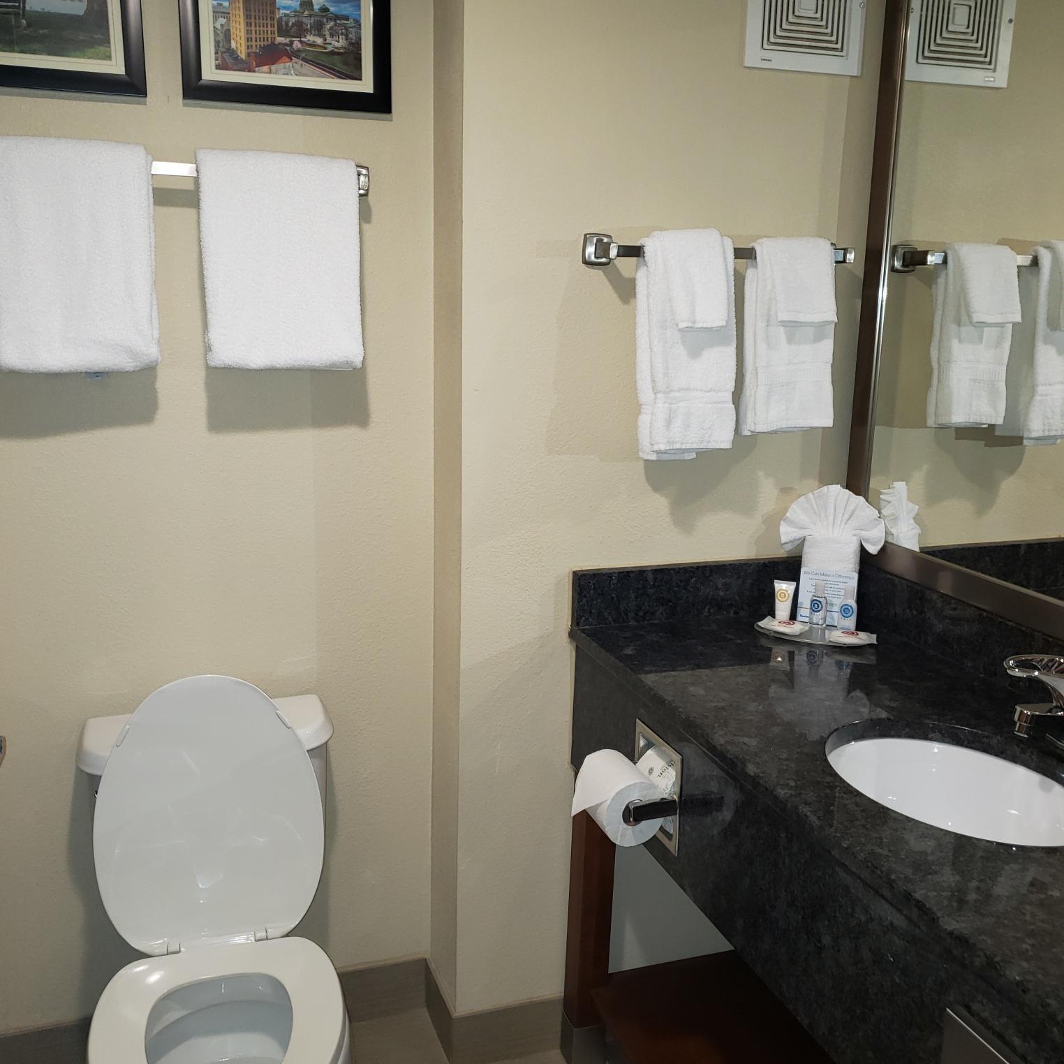 Comfort Inn Mechanicsburg Bathroom
