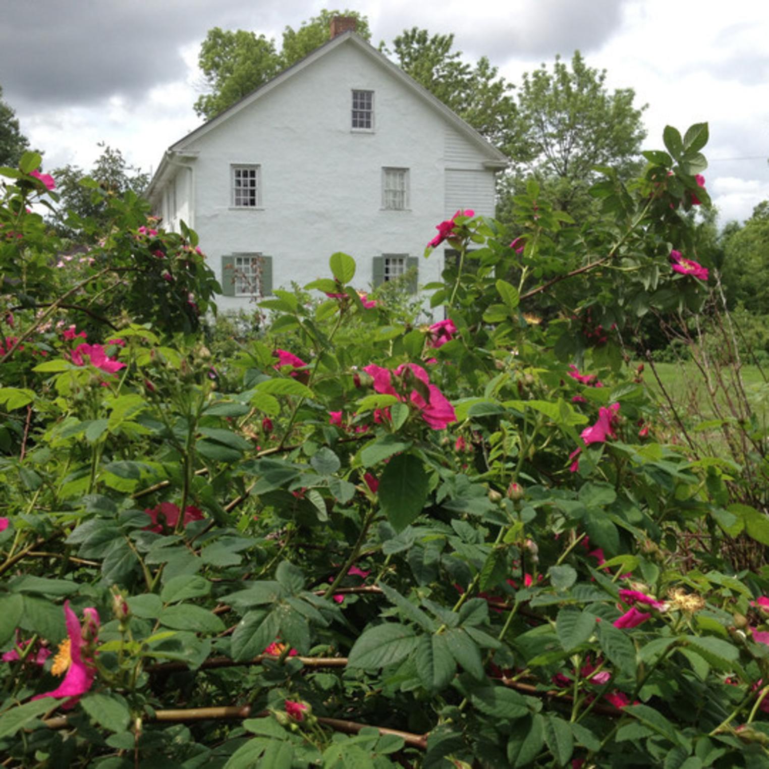 Conococheague Institute