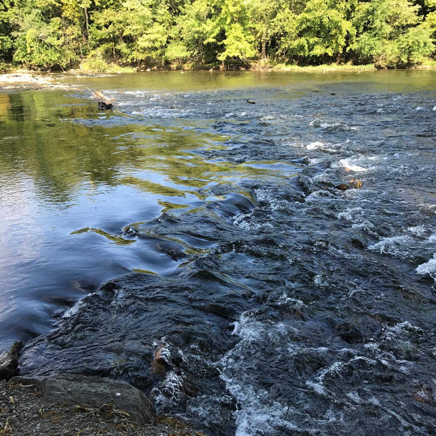 Conodoguinet Creek