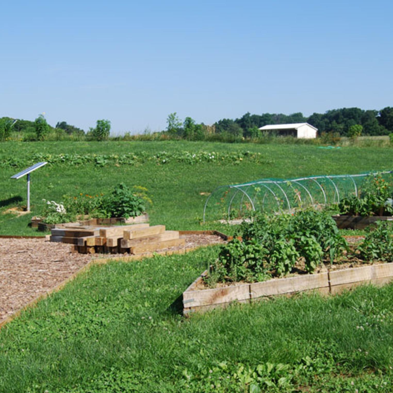 Dickinson College Farm Garden