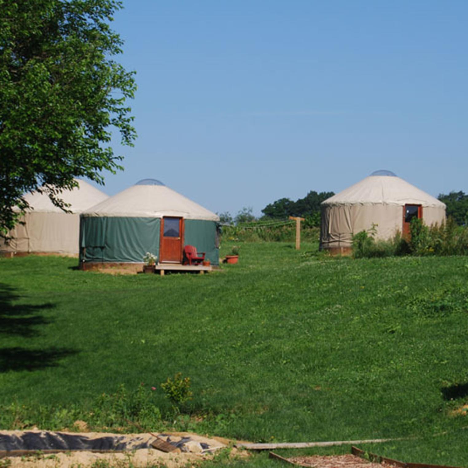 Dickinson College Farm