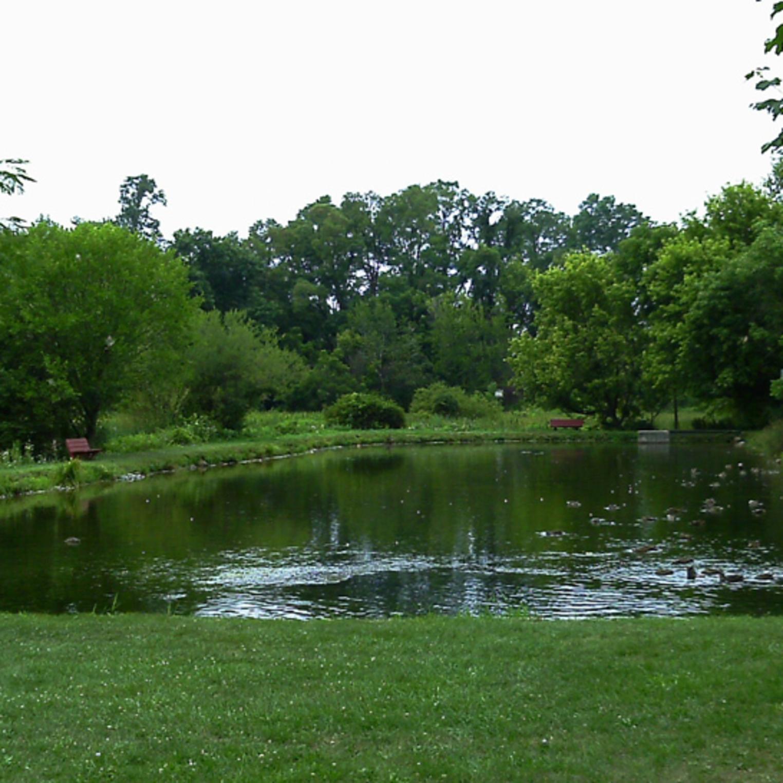 Dykeman Springs