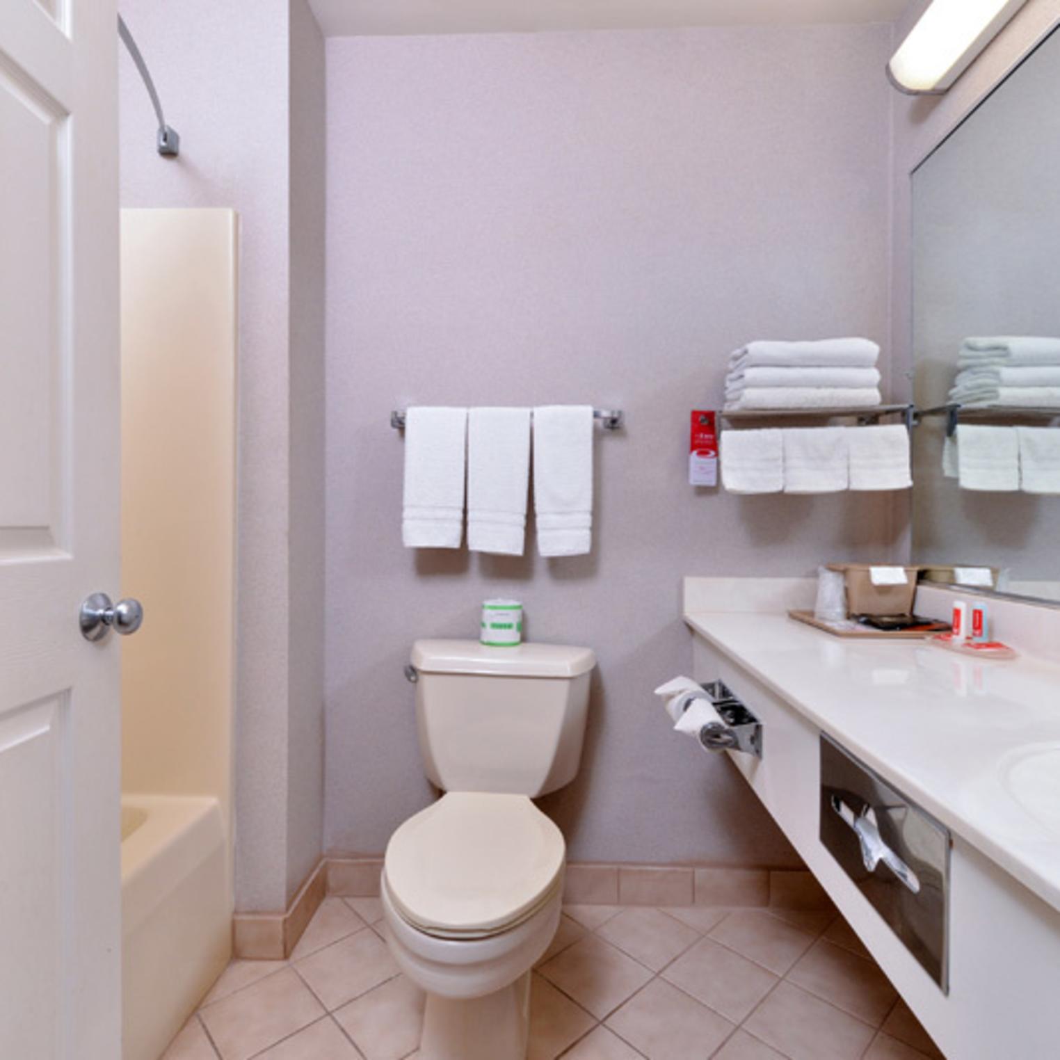 Econo Lodge Carlisle Guest Bathroom