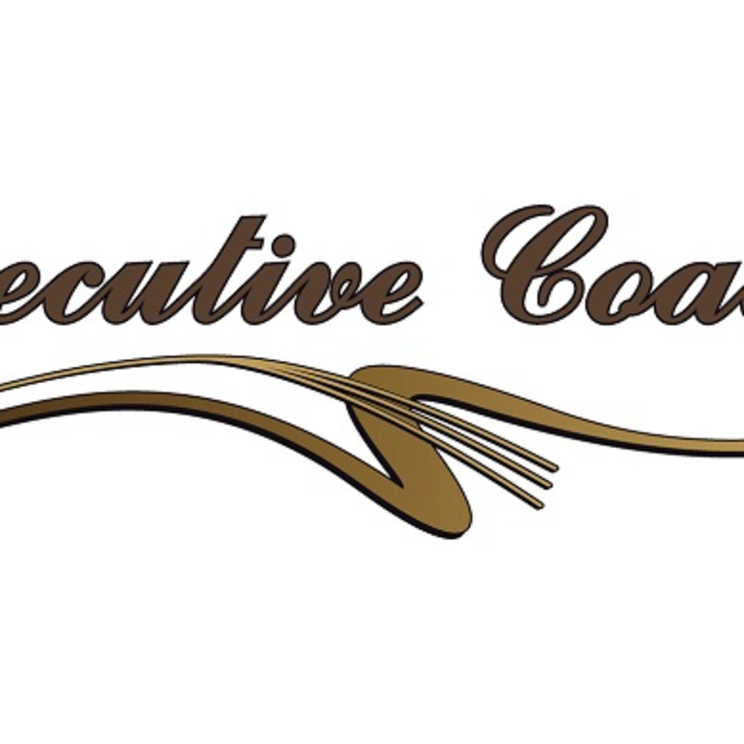 Executive Coach