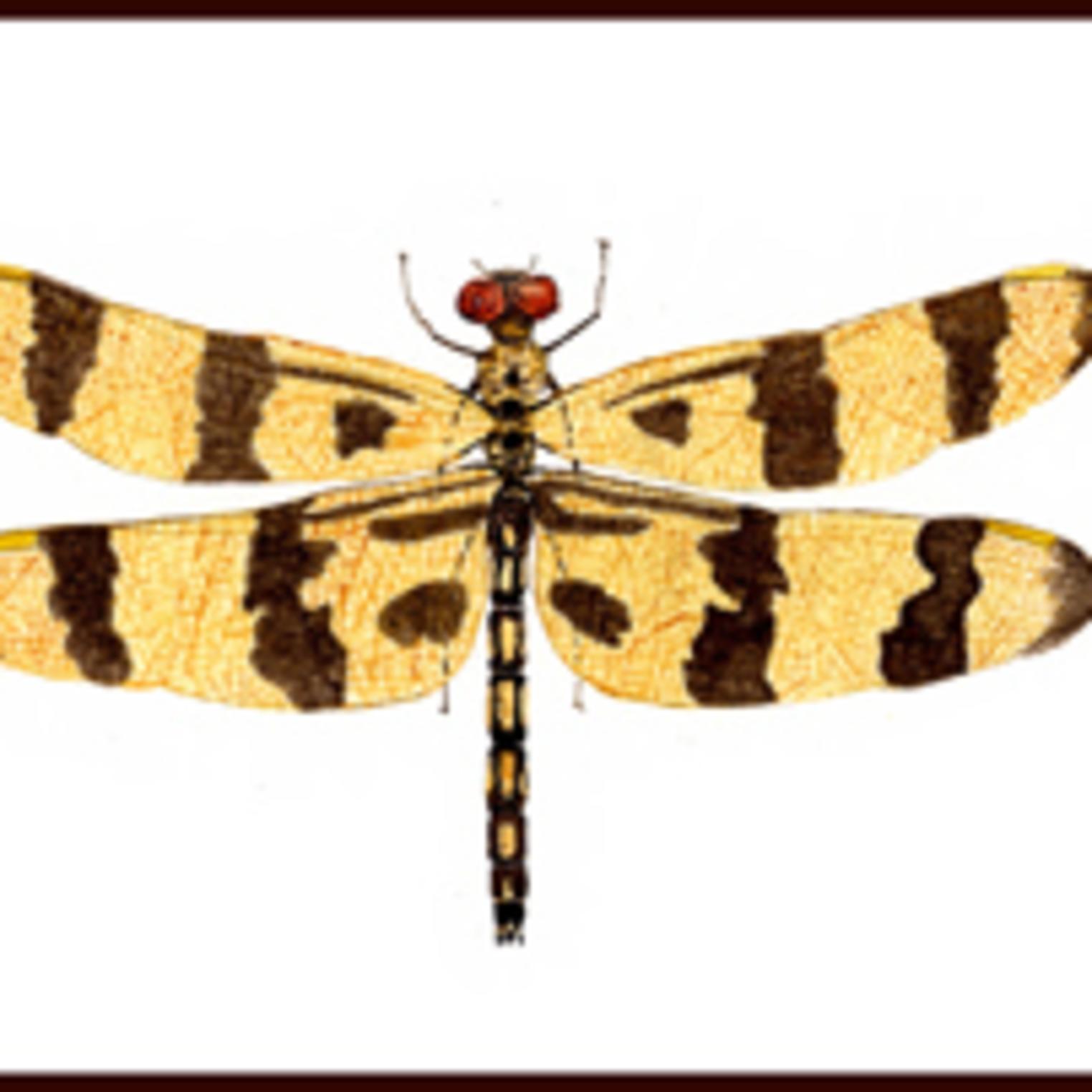 Gerald Putt Wildlife Art Studio