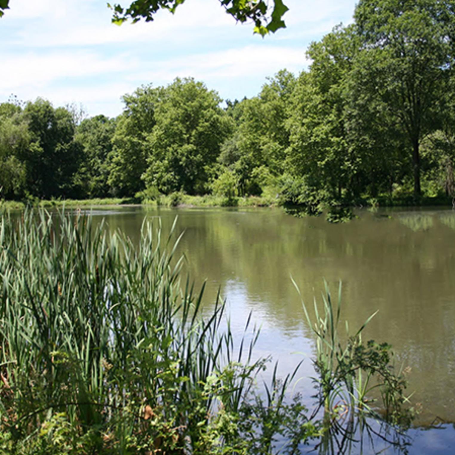 Grantham Park
