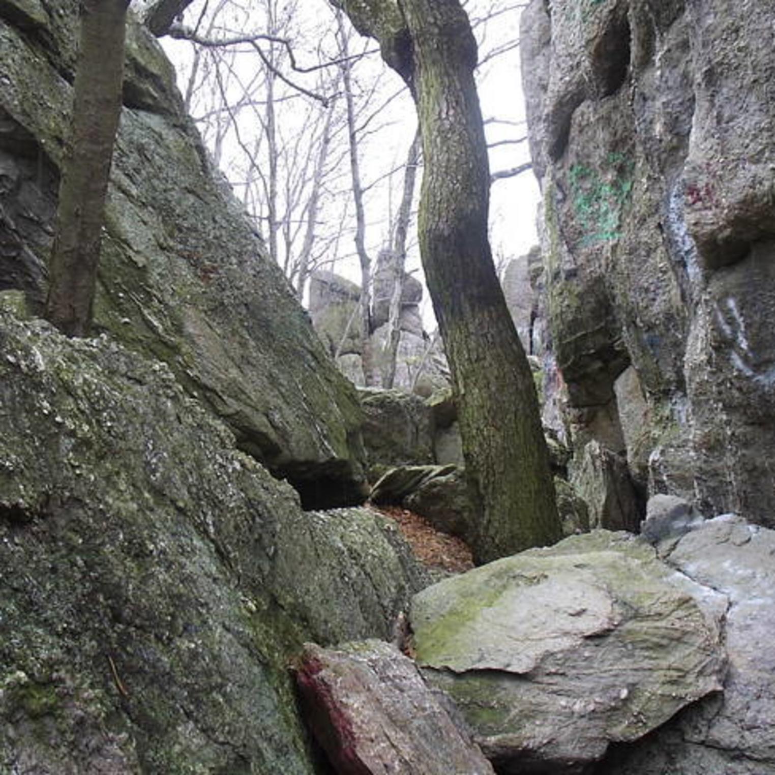 Hammonds Rocks in Michaux State Forest courtesy of summitpost.org