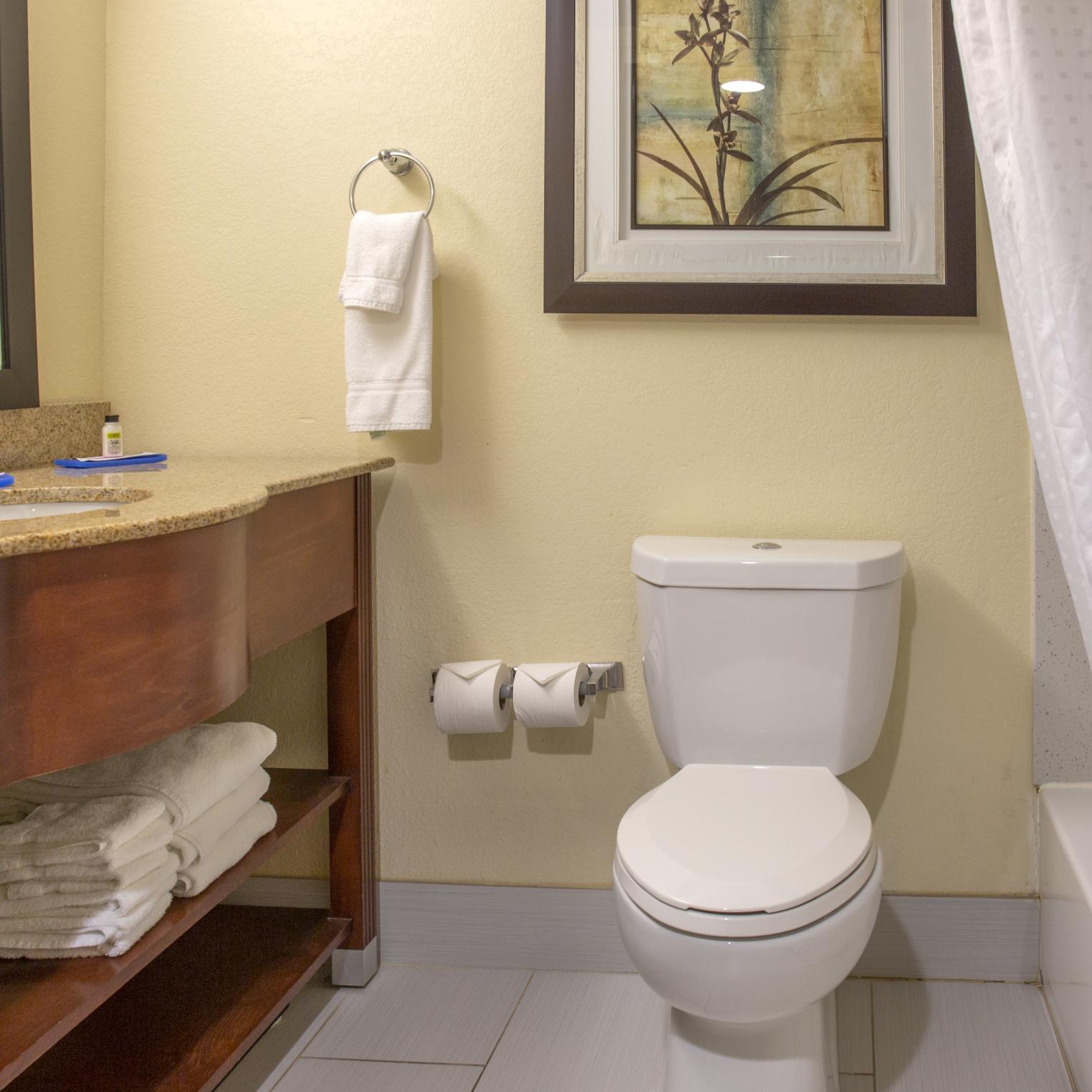 Holiday Inn Express Harrisburg SW Mechanicsburg Bathroom