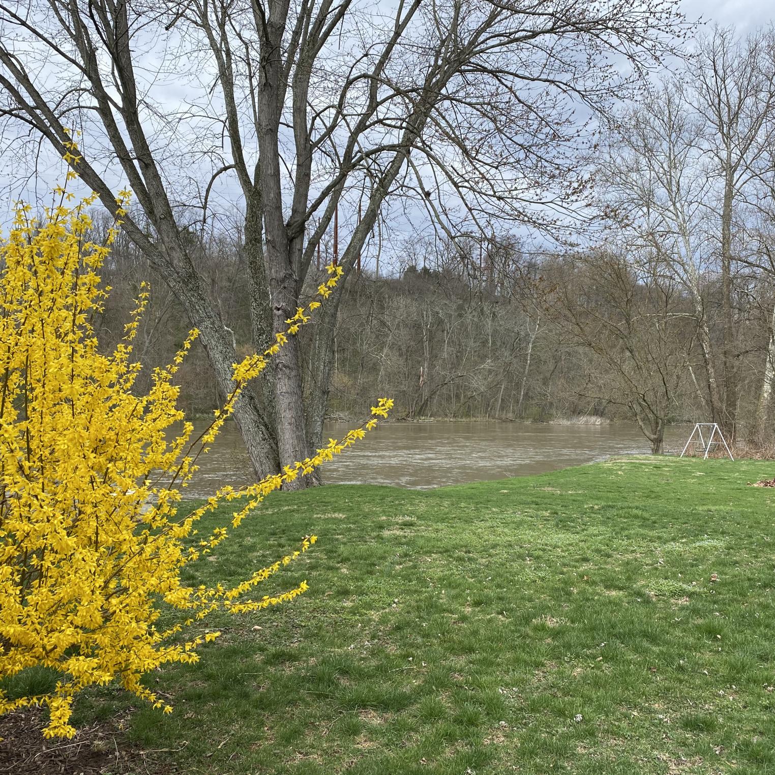 Oyster Mill Park