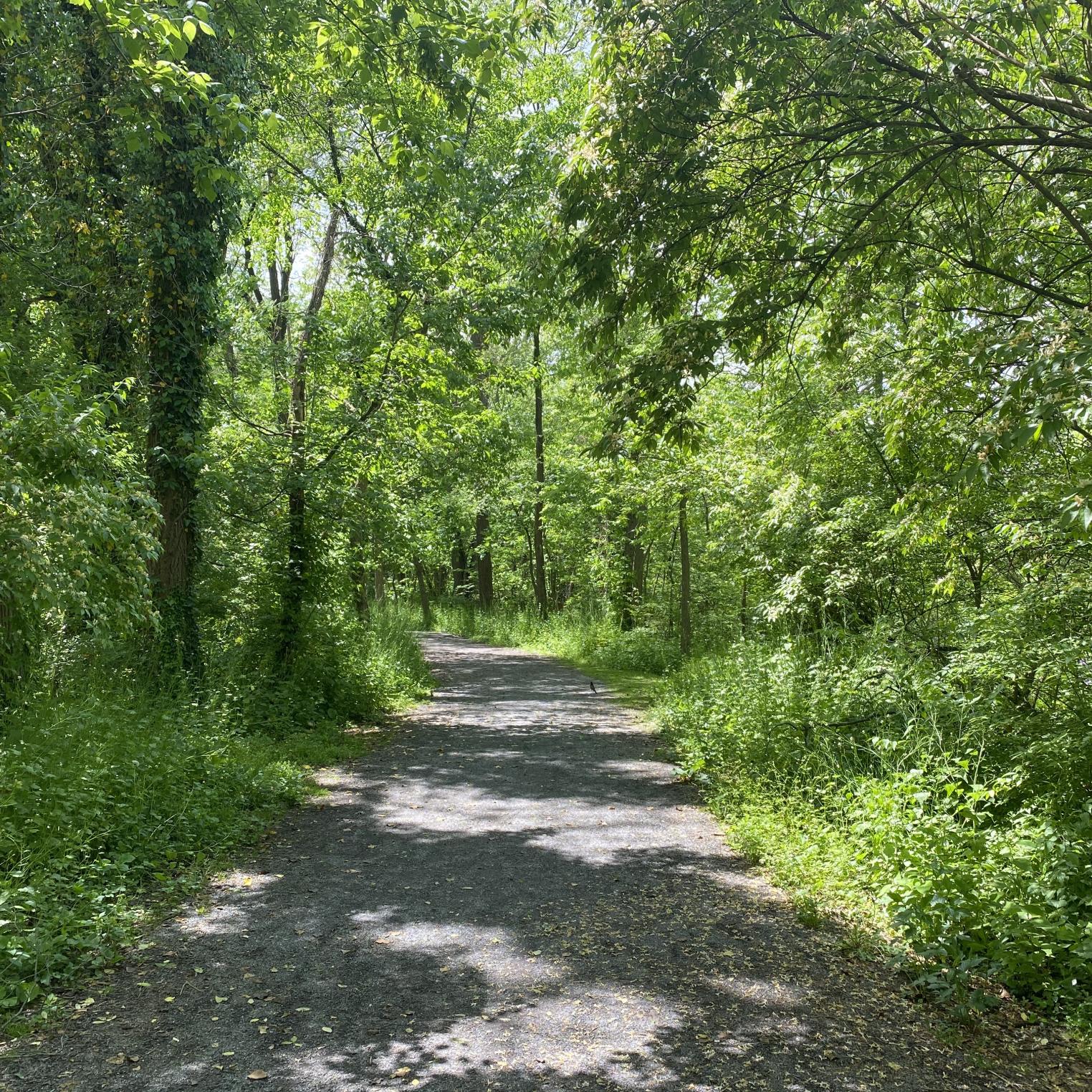LeTort Spring Run & Nature Trail