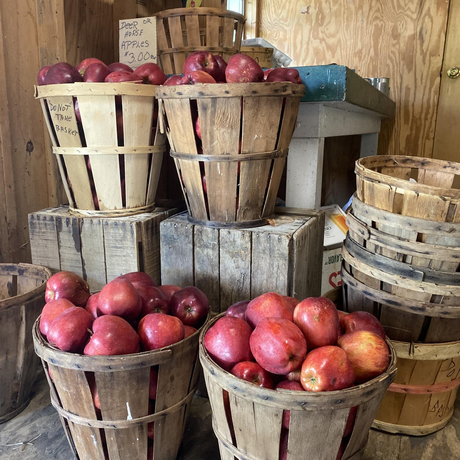 olf Fruit Farm