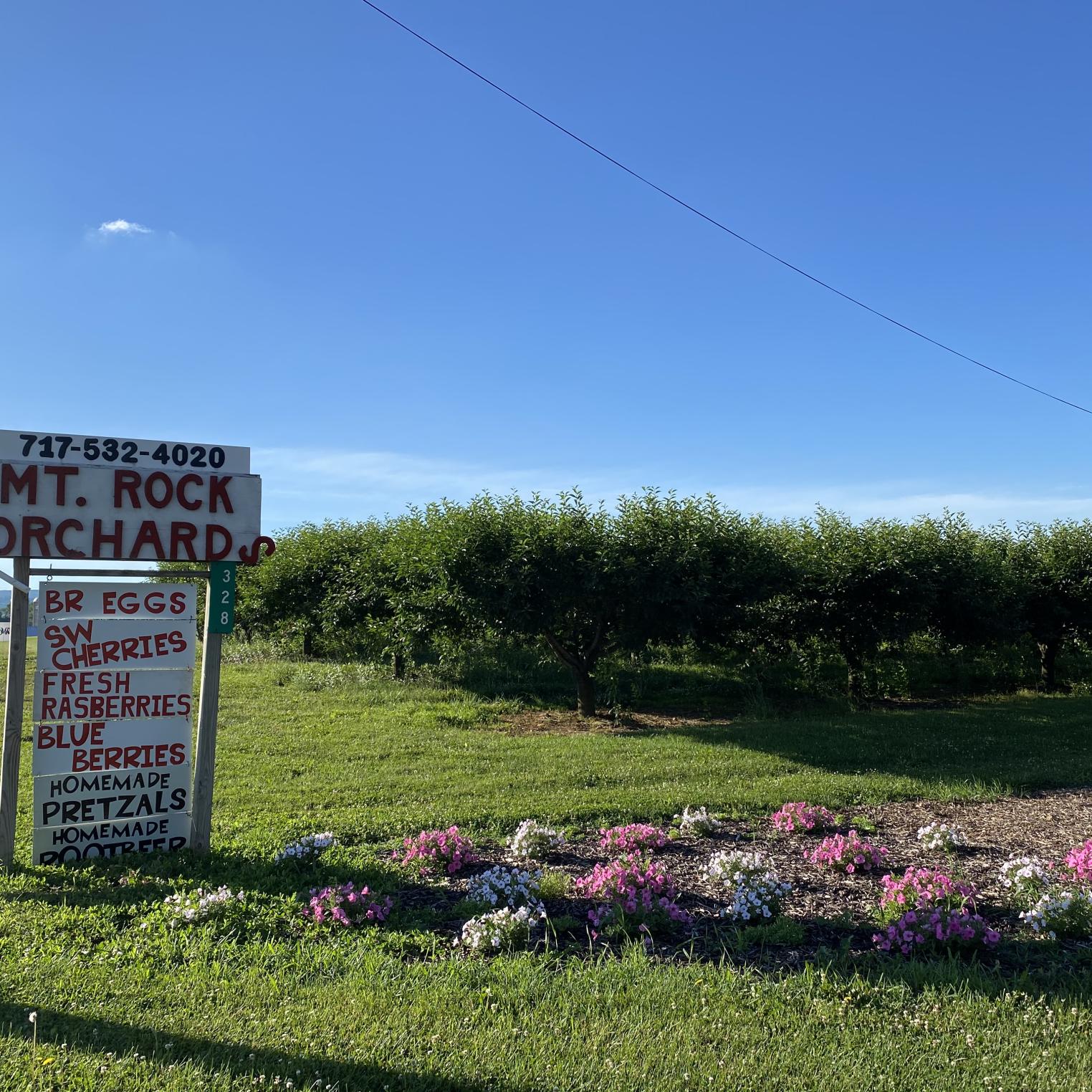 Mount Rock Orchards