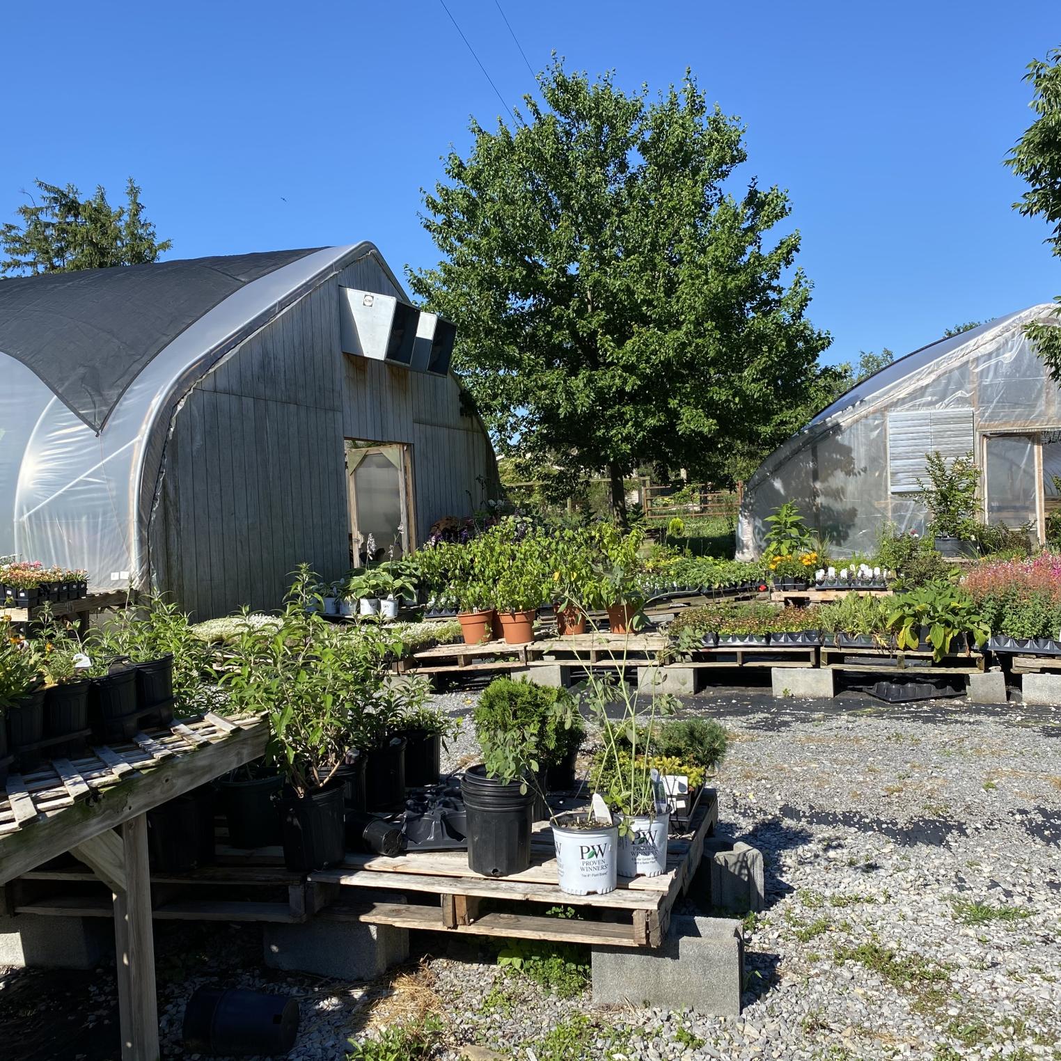 Newville Produce Farm & Greenhouses