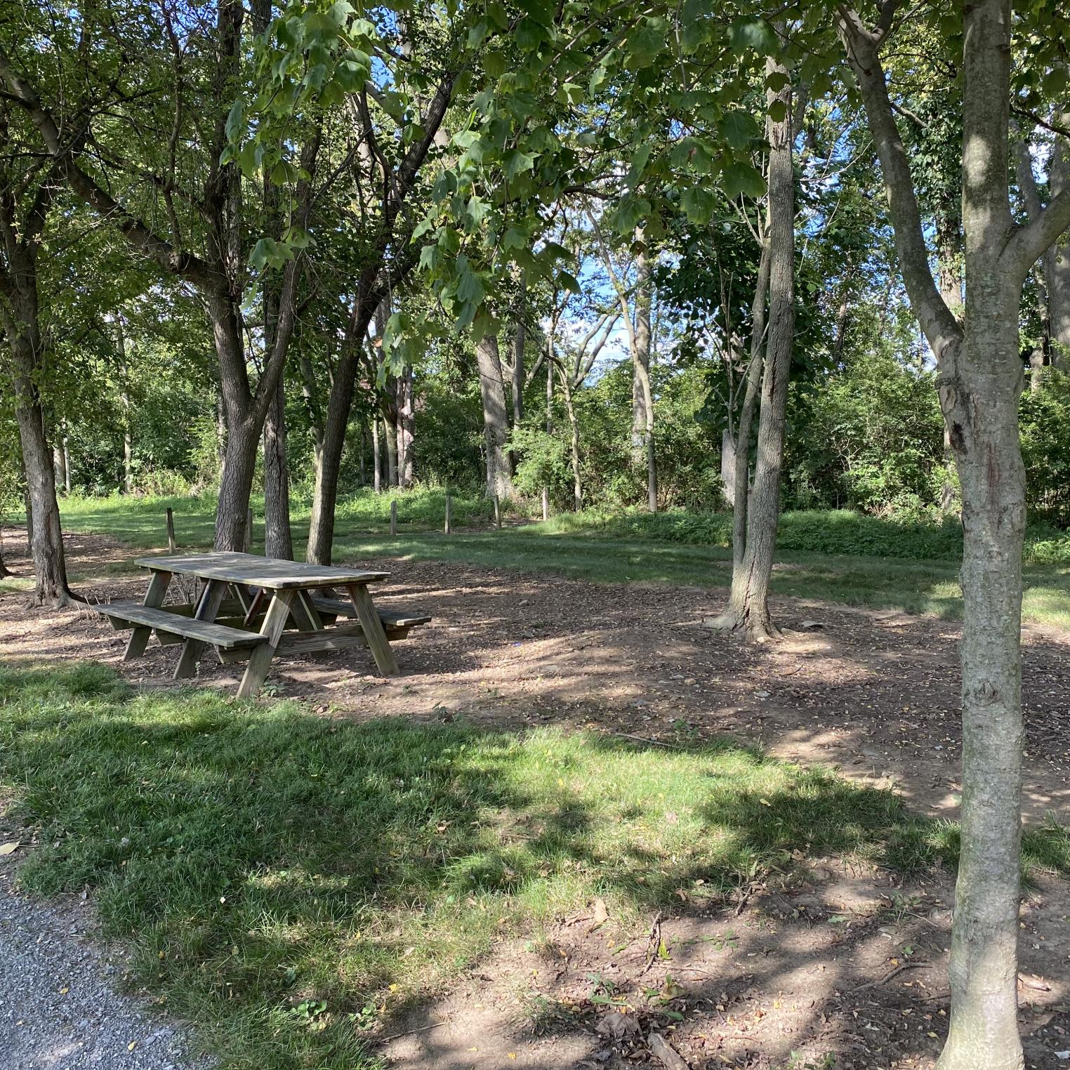 Leidigh Park