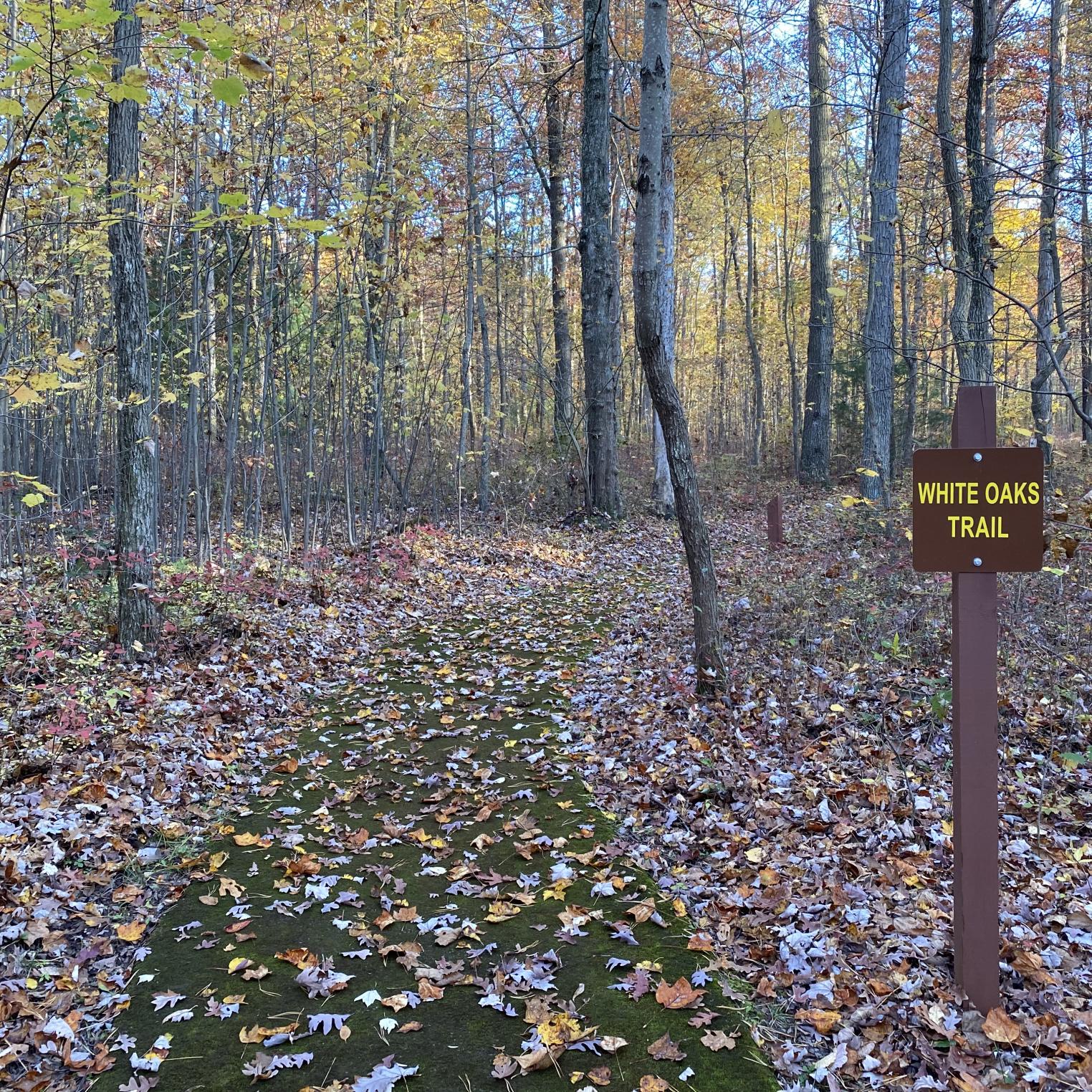 White Oaks Trail