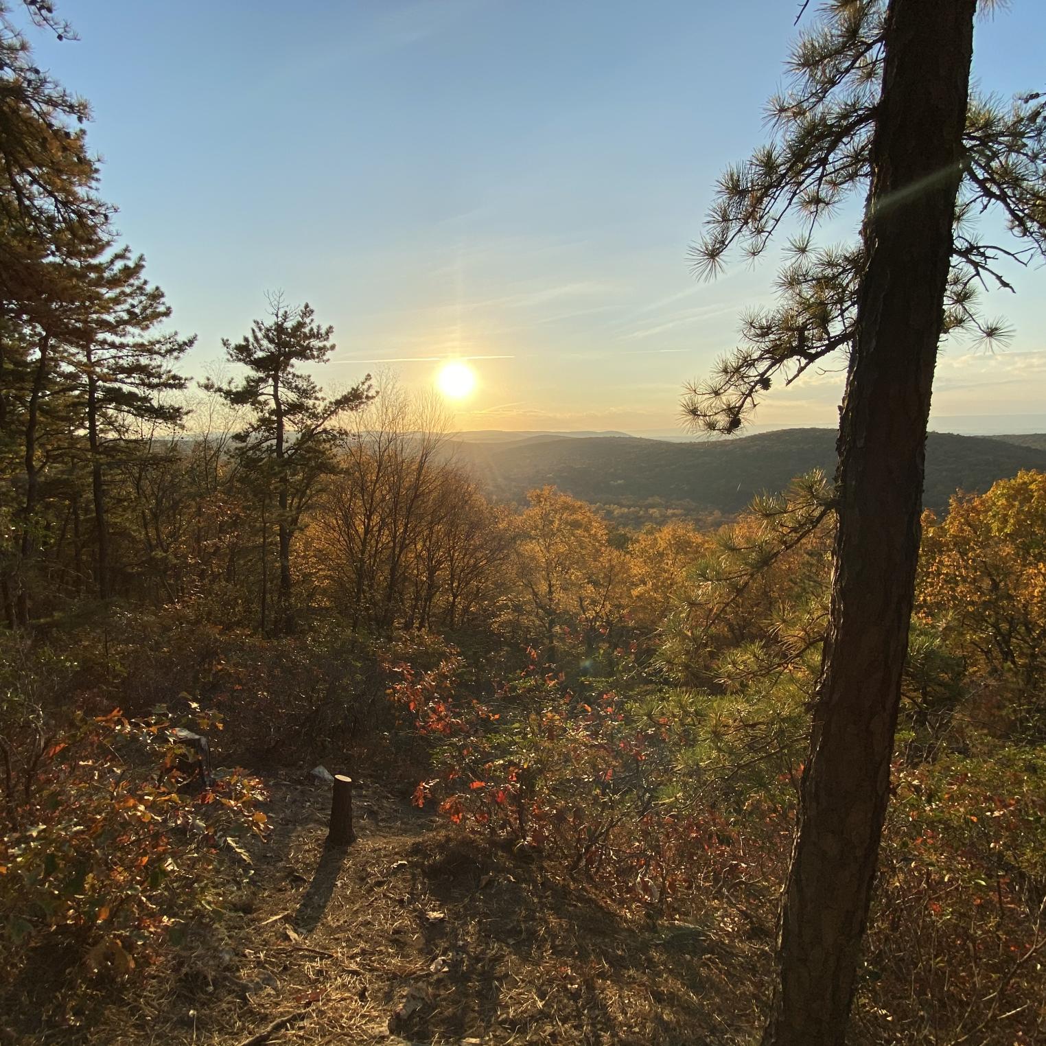 Scenic Vista Trail
