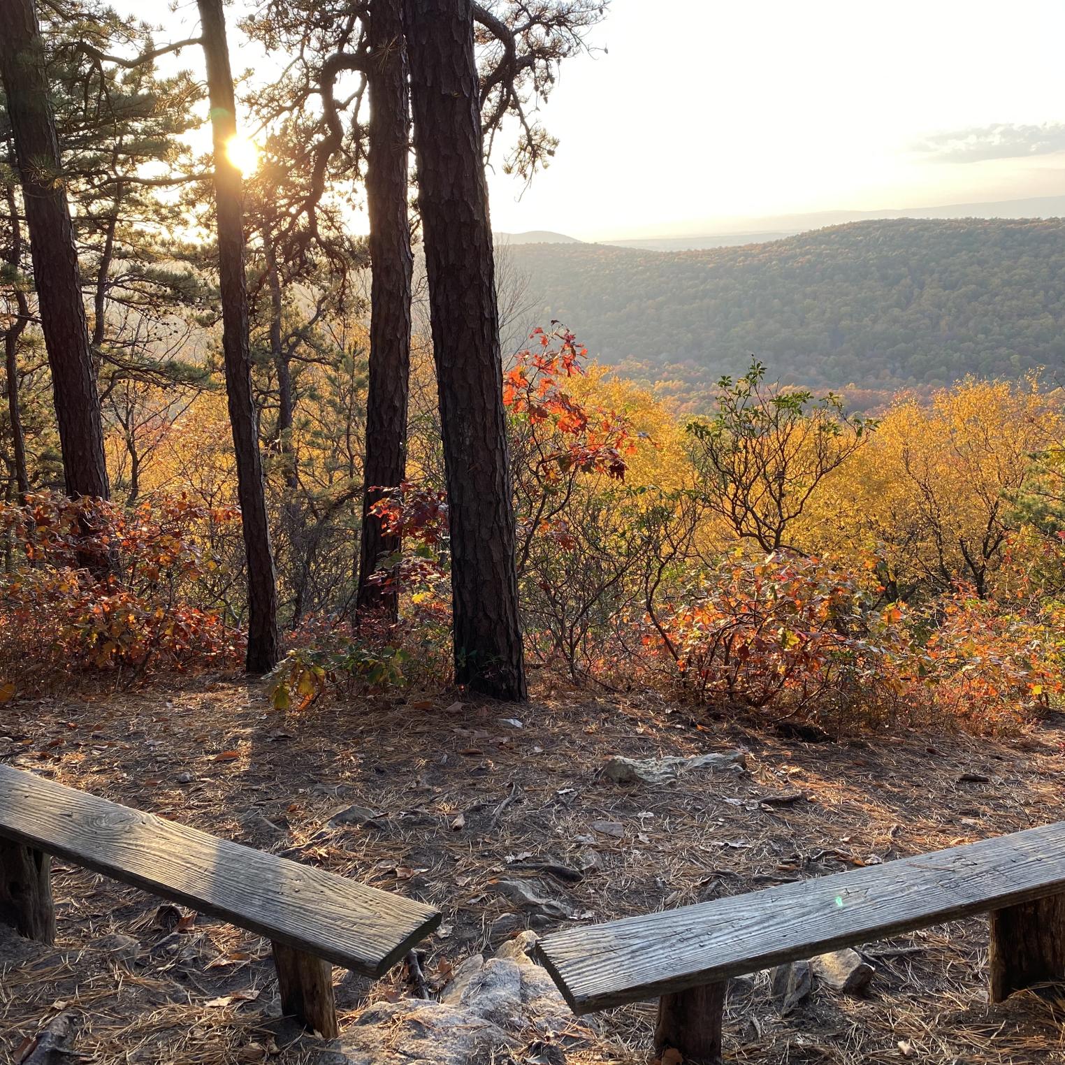 Scenic Vista Trail