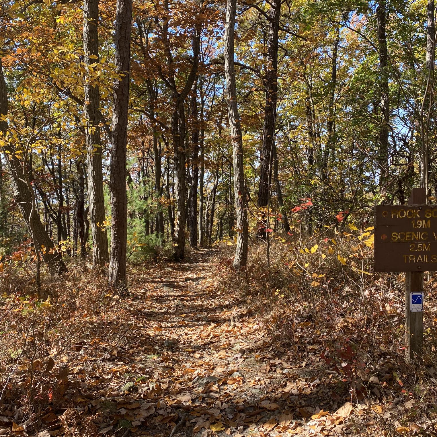Rock Scree Trail