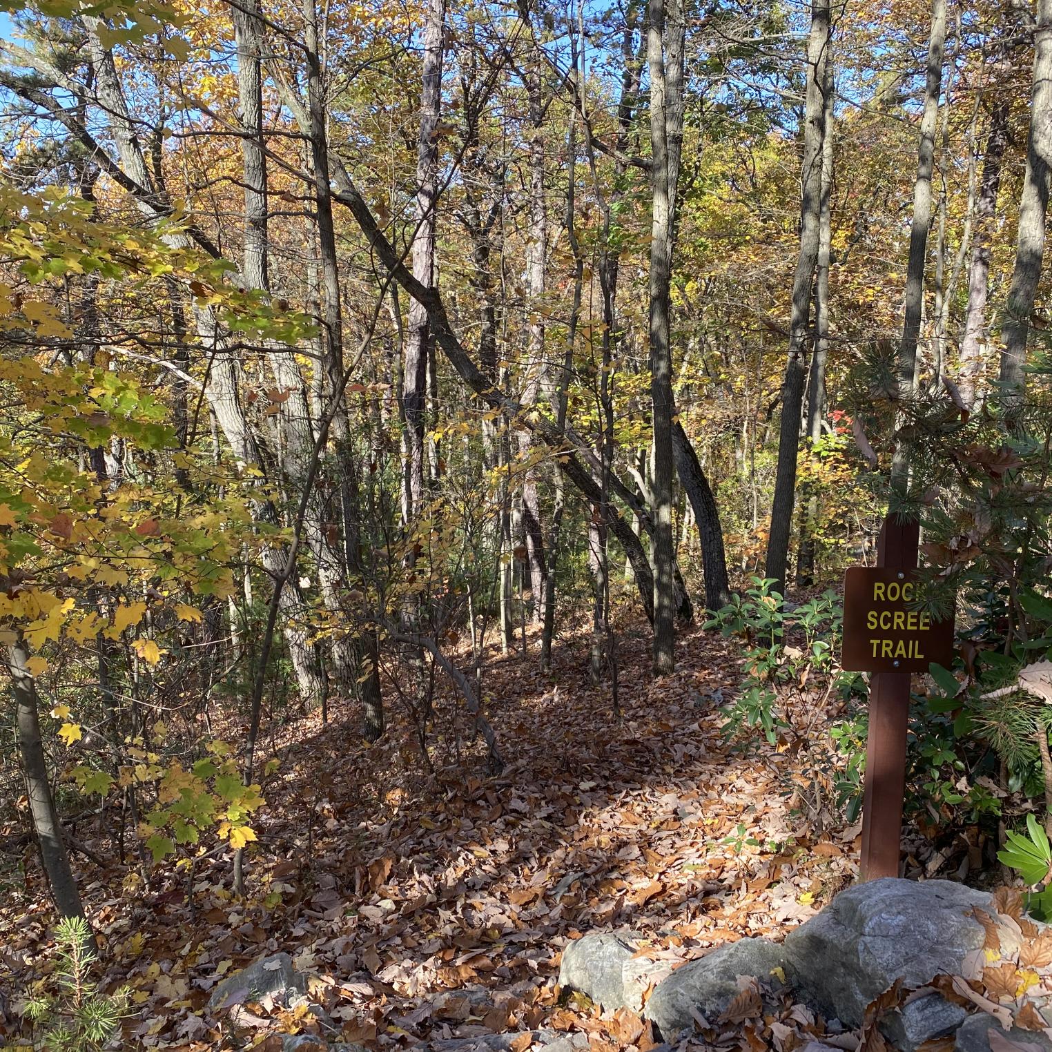 Rock Scree Trail