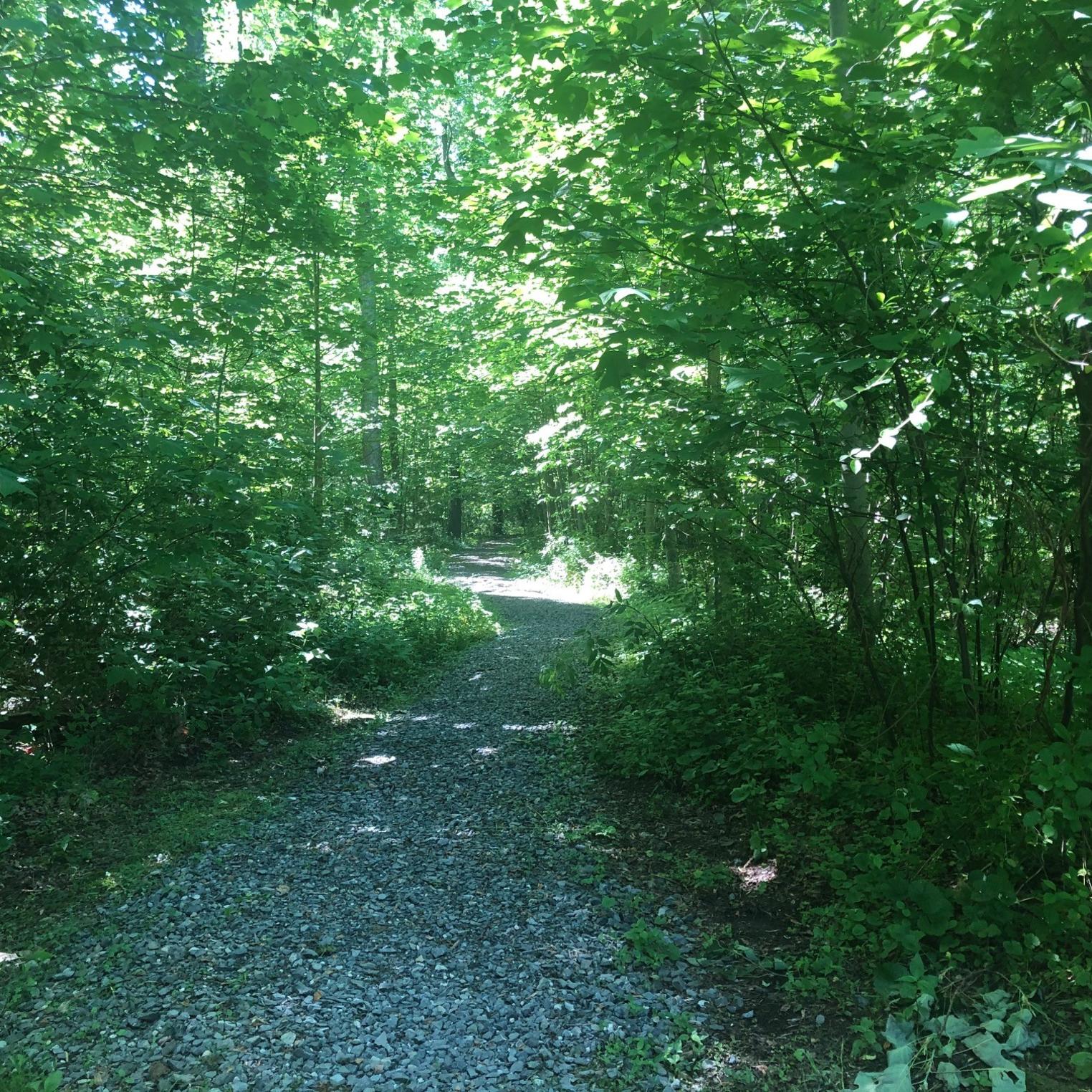 Irish Gap Hollow Trail