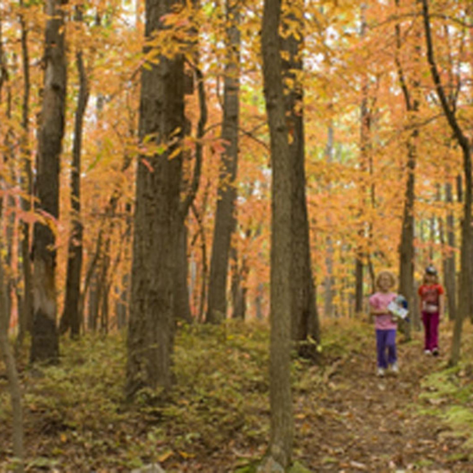 Fall hike at Kings Gap